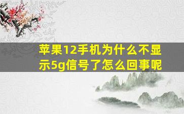 苹果12手机为什么不显示5g信号了怎么回事呢