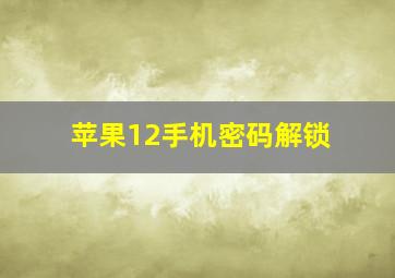 苹果12手机密码解锁