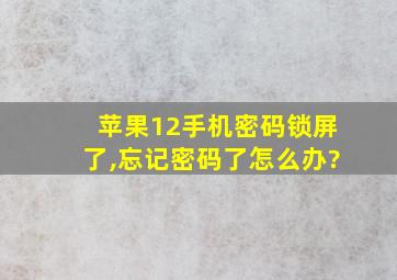 苹果12手机密码锁屏了,忘记密码了怎么办?