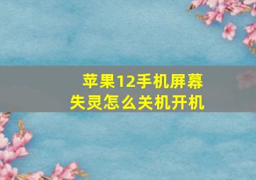 苹果12手机屏幕失灵怎么关机开机