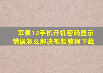 苹果12手机开机密码显示错误怎么解决视频教程下载