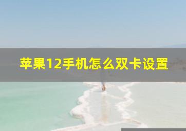 苹果12手机怎么双卡设置