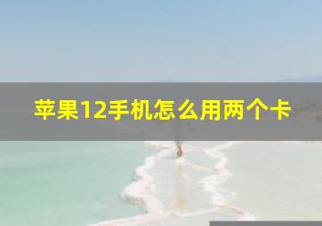 苹果12手机怎么用两个卡