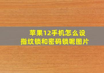 苹果12手机怎么设指纹锁和密码锁呢图片