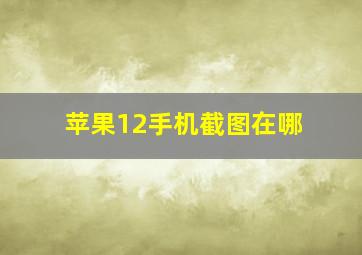 苹果12手机截图在哪