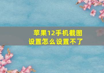 苹果12手机截图设置怎么设置不了