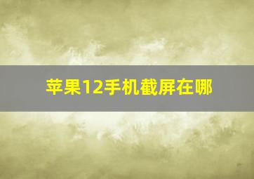 苹果12手机截屏在哪