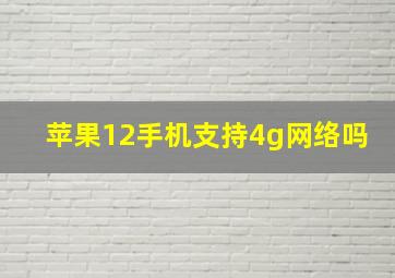 苹果12手机支持4g网络吗