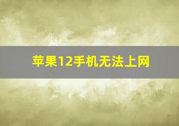 苹果12手机无法上网