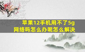 苹果12手机用不了5g网络吗怎么办呢怎么解决