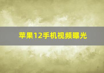 苹果12手机视频曝光