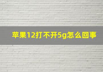 苹果12打不开5g怎么回事