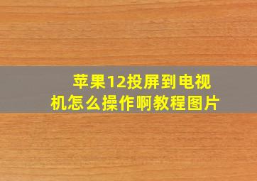 苹果12投屏到电视机怎么操作啊教程图片