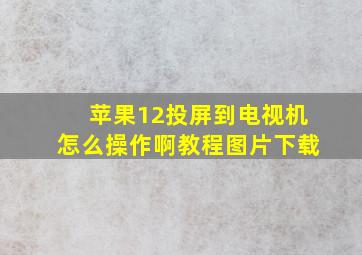 苹果12投屏到电视机怎么操作啊教程图片下载