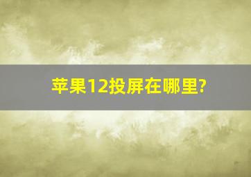 苹果12投屏在哪里?