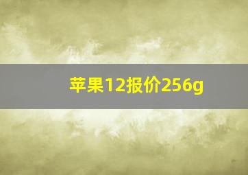 苹果12报价256g