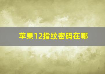 苹果12指纹密码在哪