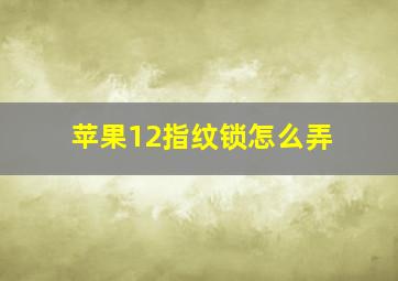 苹果12指纹锁怎么弄