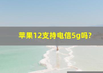 苹果12支持电信5g吗?