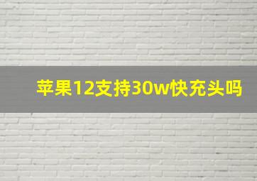 苹果12支持30w快充头吗