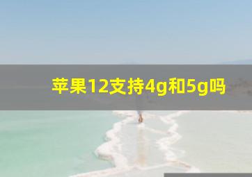 苹果12支持4g和5g吗