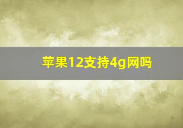 苹果12支持4g网吗