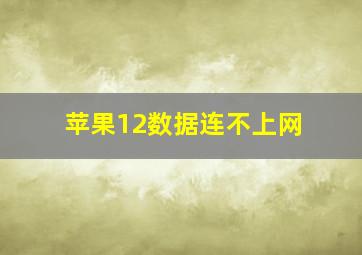 苹果12数据连不上网