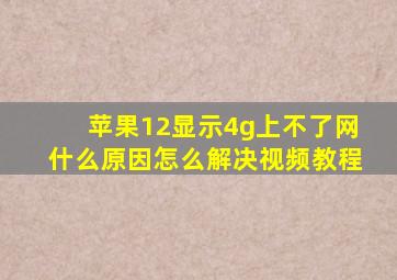 苹果12显示4g上不了网什么原因怎么解决视频教程