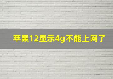 苹果12显示4g不能上网了