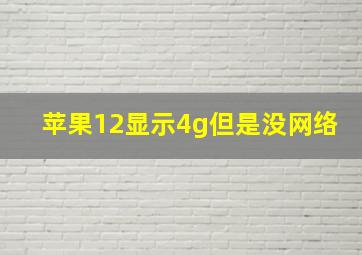 苹果12显示4g但是没网络