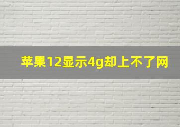 苹果12显示4g却上不了网