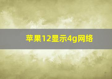 苹果12显示4g网络