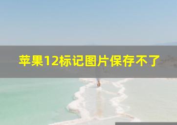 苹果12标记图片保存不了