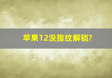 苹果12没指纹解锁?