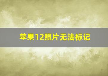 苹果12照片无法标记