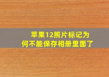 苹果12照片标记为何不能保存相册里面了