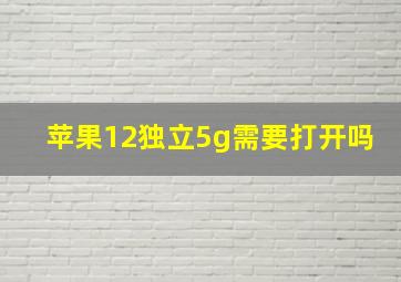 苹果12独立5g需要打开吗