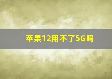 苹果12用不了5G吗