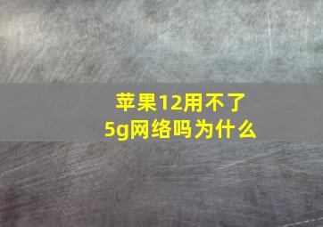 苹果12用不了5g网络吗为什么