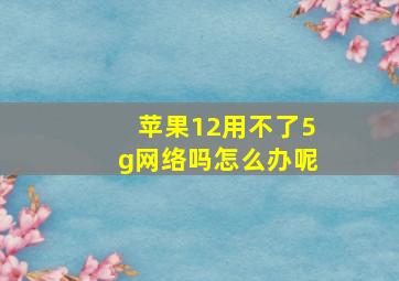 苹果12用不了5g网络吗怎么办呢