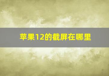 苹果12的截屏在哪里