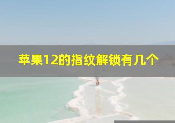 苹果12的指纹解锁有几个