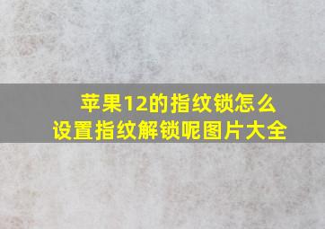 苹果12的指纹锁怎么设置指纹解锁呢图片大全