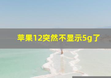 苹果12突然不显示5g了