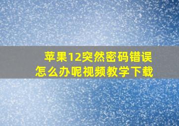 苹果12突然密码错误怎么办呢视频教学下载