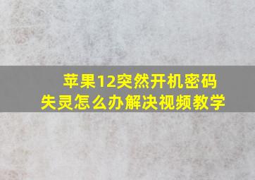 苹果12突然开机密码失灵怎么办解决视频教学