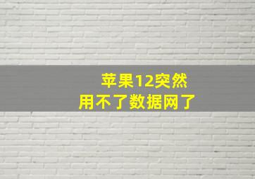 苹果12突然用不了数据网了