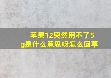 苹果12突然用不了5g是什么意思呀怎么回事