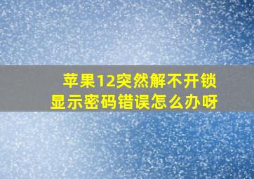 苹果12突然解不开锁显示密码错误怎么办呀