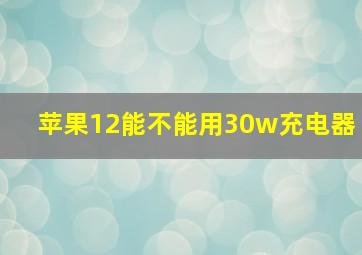 苹果12能不能用30w充电器